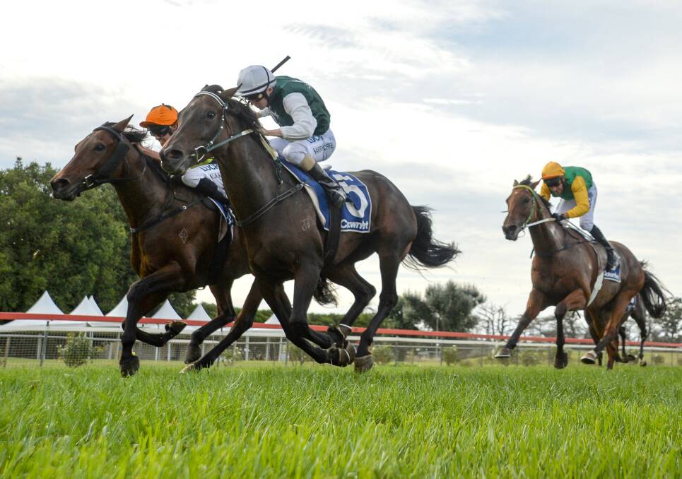 BREAKTHROUGH: Palace Of Mirrors hit the line at Terang, giving Bendigo trainer Anne Maree Curran her first win with the mare in three starts under her care. Picture: GETTY IMAGES