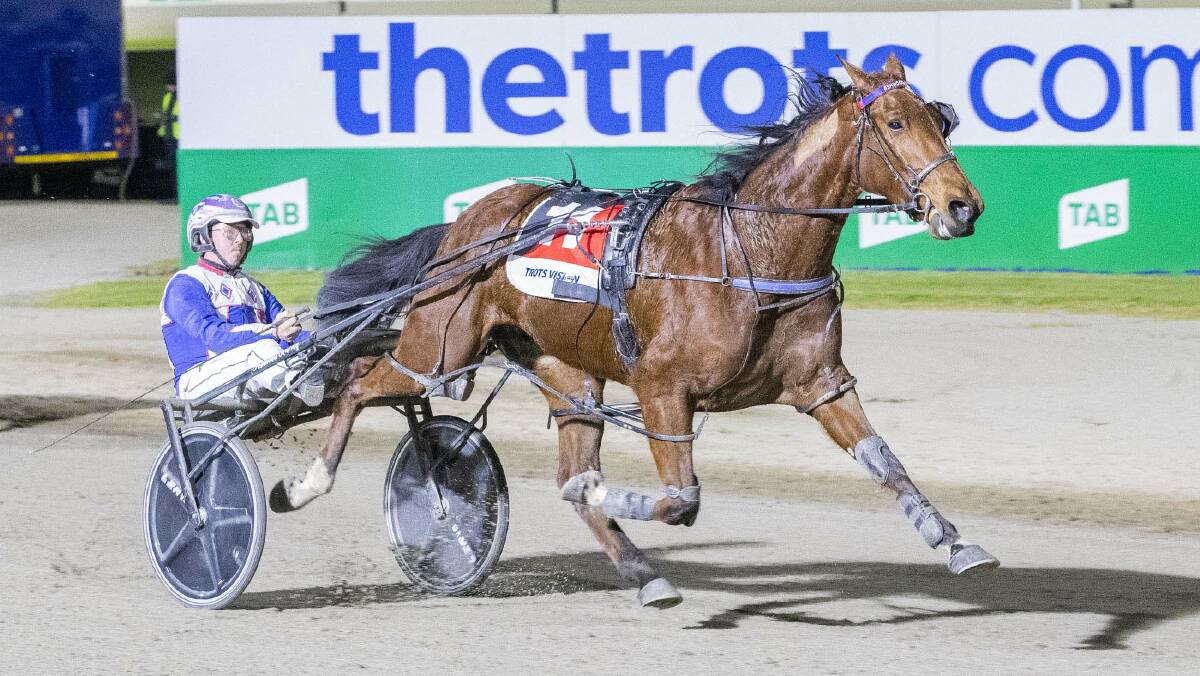 Alex Ashwood steers Major Fire to her sixth straight win since joining his stable at Tabcorp Park Melton on Saturday night. Picture by Stuart McCormick