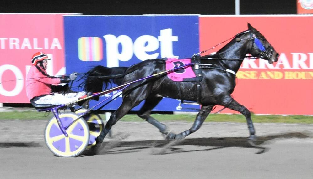 WIN MAKES THREE: Brian Gath collects his third win from five starts aboard Nephew Of Sonoko at Lord's Raceway on Monday. Picture: CLAIRE WESTON PHOTOGRAPHY