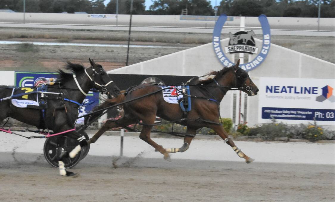 Madam Reactor, driven by Bailey McDonough, gets up on the inside to get past Whata Journey (Glenn Douglas) to win at Shepparton last week. Picture: CLAIRE WESTON PHOTOGRAPHY