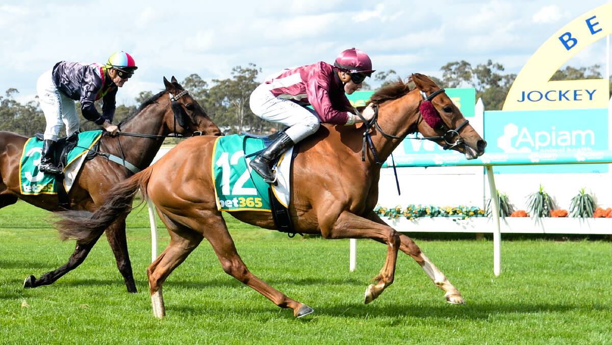 Red Cracker ridden by Matthew Cartwright, wins at Bendigo earlier this month. Picture: RACING PHOTOS