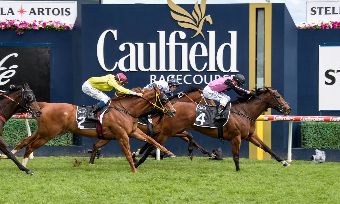 Miss Leonidas, ridden by Stephen Baster, sprints to victory in the Group 2 Caulfield Sprint in October. The mare is at short-odds to win her second-straight Bendigo horse of the year award., Picture" REG RYAN/RACING PHOTOS
