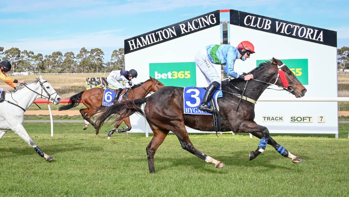 The Brett Charry-trained By Design, ridden by Braidon Small, wins the Finchetts Maiden Hurdle at Hamilton on Tuesday. Picture: ALICE MILES/RACING PHOTOS