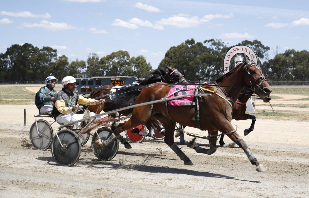 Prizemoney for restricted races will soon rise in Victoria. Picture: EMMA D'AGOSTINO