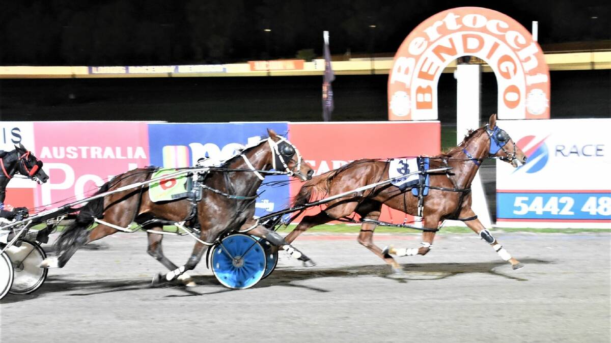 Madam Reactor scores his maiden win at Bendigo's Lord's Raceway last April. The now four-year-old mare picked up her fourth win at Shepparton on Wednesday night. Picture: CLAIRE WESTON PHOTOGRAPHY
