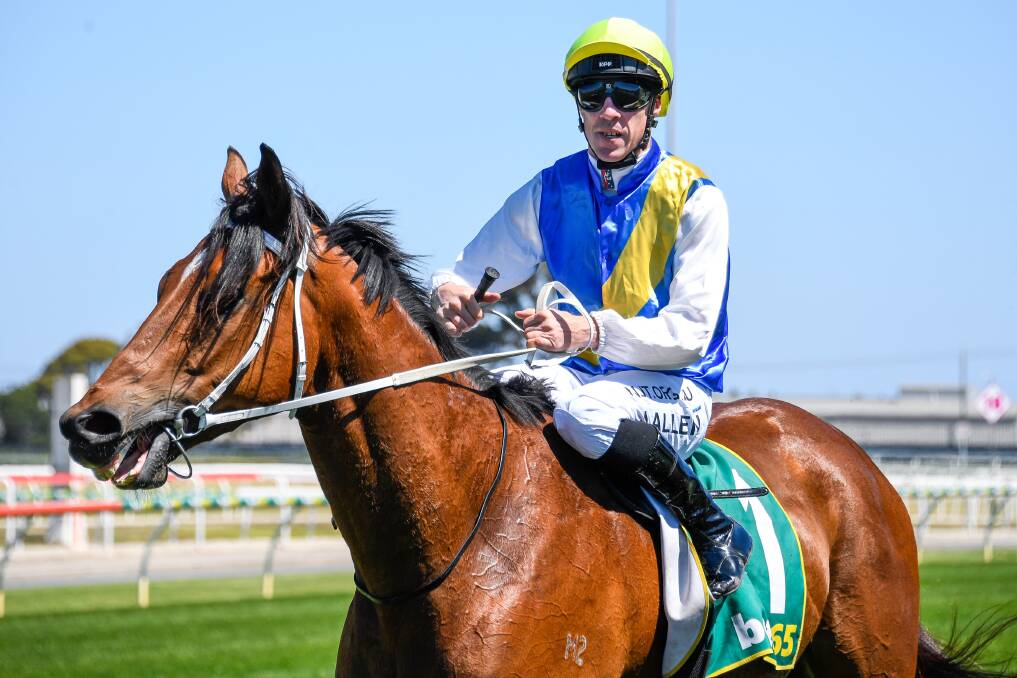 Rogue Star and John Allen return to the mounting yard following Friday's win at Geelong. Picture: REG RYAN/RACING PHOTOS