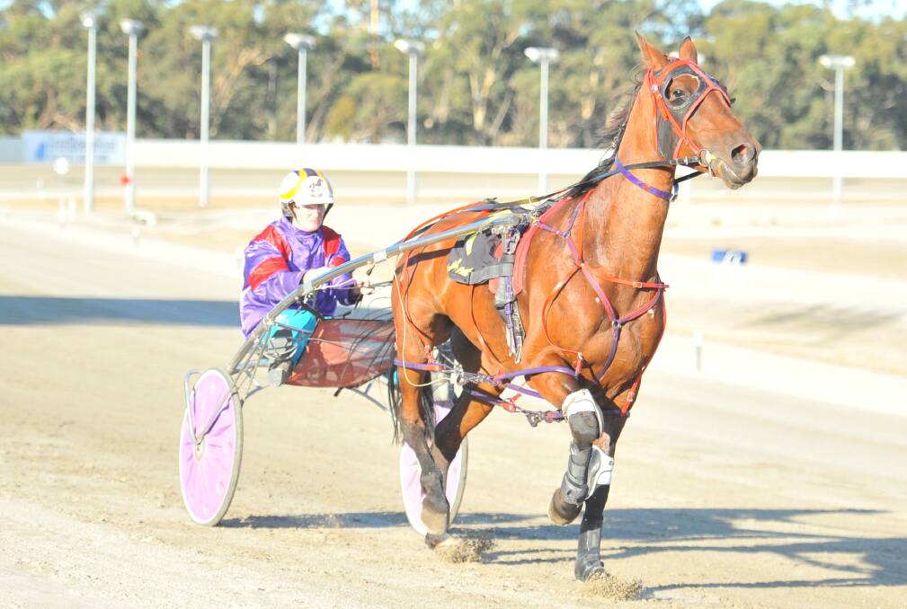 Ellen Tormey scored wins at both Wagga Wagga and Wangaratta on Sunday. Picture: KIERAN ILES