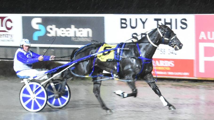 Vandanta wins the NR 72 to 120 pace at Lord's Raceway on Friday night. Picture: CLAIRE WESTON PHOTOGRAPHY