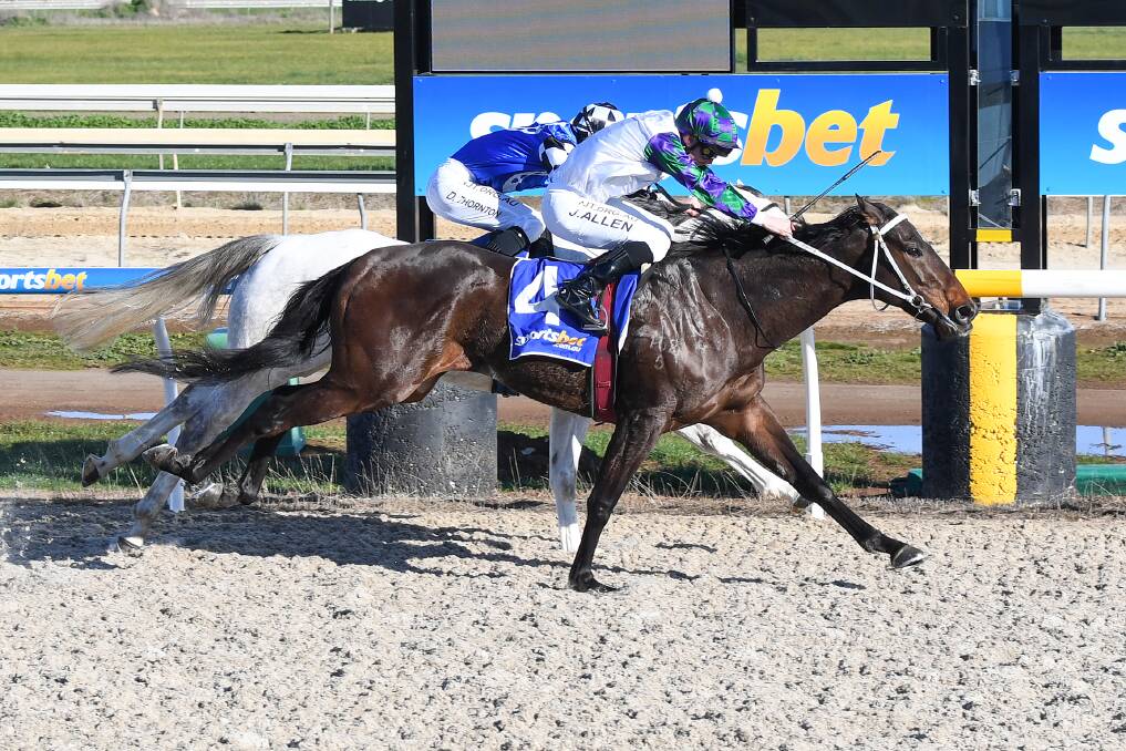 Chase Award, ridden by John Allen, wins at Ballarat Synthetic in June. The same combination of horse, jockey and trainer George Osborne will target victory on Bendigo Cup day. Picture: RACING PHOTOS