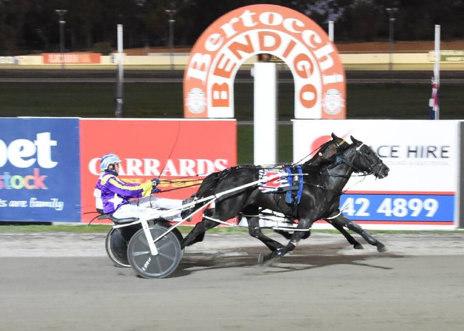 Alex Ashwood win son the Trevor Patching-trained Pippa One Two. Picture: CLAIRE WESTON PHOTOGRAPHY