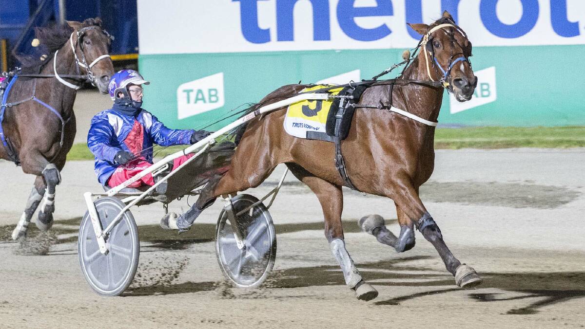 ALL THE WAY: Ryan Sanderson steers the Jason McNaulty-trained Chissy to his 13th career win at Tabcorp Park Melton on Saturday night and into a Group 2 final next weekend. Picture: STUART McCORMICK