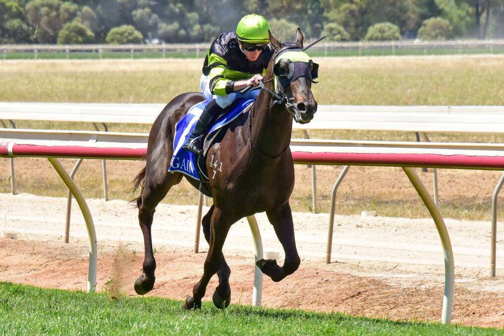 DREAM START FOR NEW STABLE: Nuclear Energy, ridden by Daniel Moor, wins the The Caledonian Hotel Maiden Plate at Echuca on Wednesday. Picture: BRENDAN McCARTHY/RACING PHOTOS