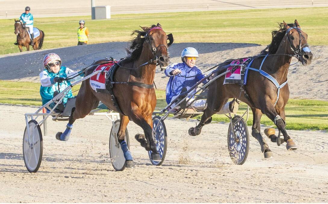 Rules Dont Apply, driven by Anthony Crossland on the inside, gets the better of Tornado Valley (Kate Gath) to win the $50,000 first heat of the Great Southern Star (1720m) at Tabcorp Park Melton on Friday night. Picture: STUART McCORMICK