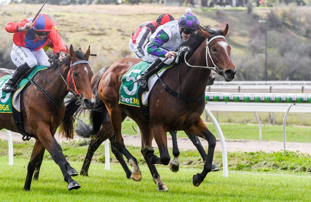 Magnalicious, ridden by Alana Kelly, finally breaks her maiden on her home track at Kyneton on Monday. Picture: BRETT HOLBURT/RACING PHOTOS