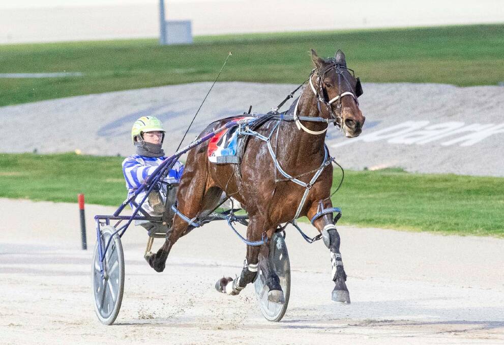 HONEST: The Glenn Douglas-trained Rocknroll Eyes cruises to the 14th win of his career at Melton on Saturday night. Picture: STUART McCORMICK