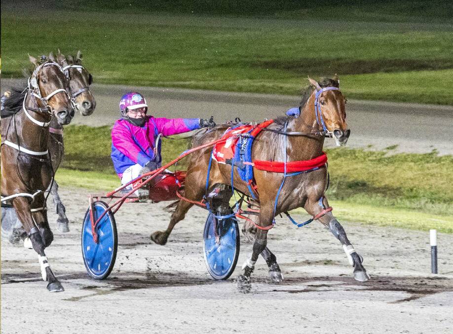 Bulletproof Boy, trained and driven by Scott Ewen, wins the $50,000 Group 2 Smoken Up Sprint at Lord's Raceway on Saturday night. Picture: STUART McCORMICK