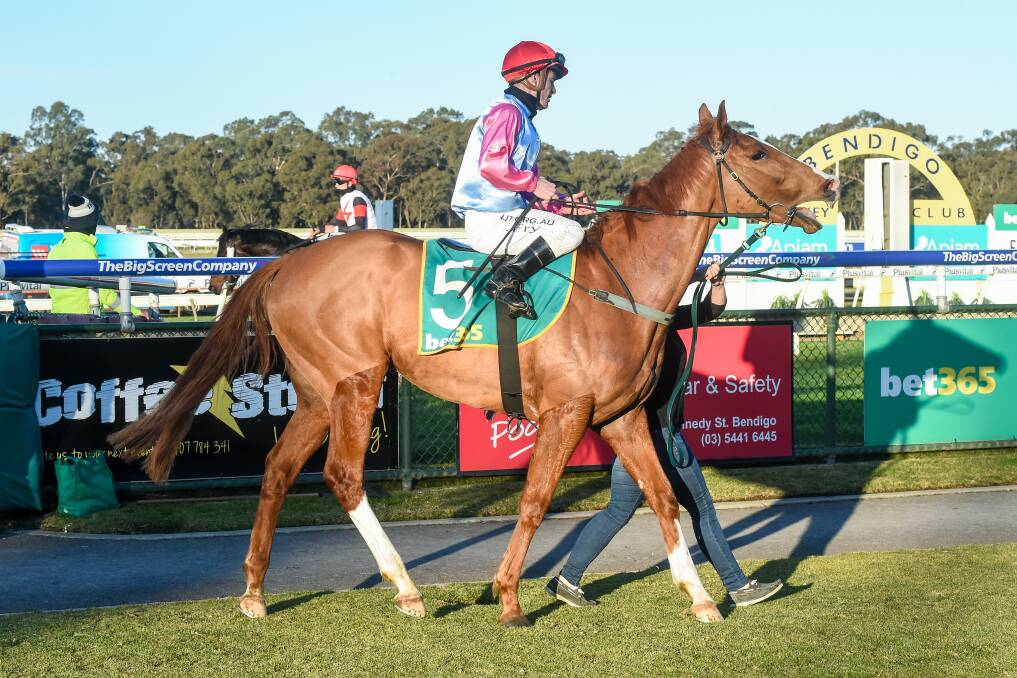 Jarrod Fry returns to the mounting yard aboard Just Folk. Picture: RACING PHOTOS