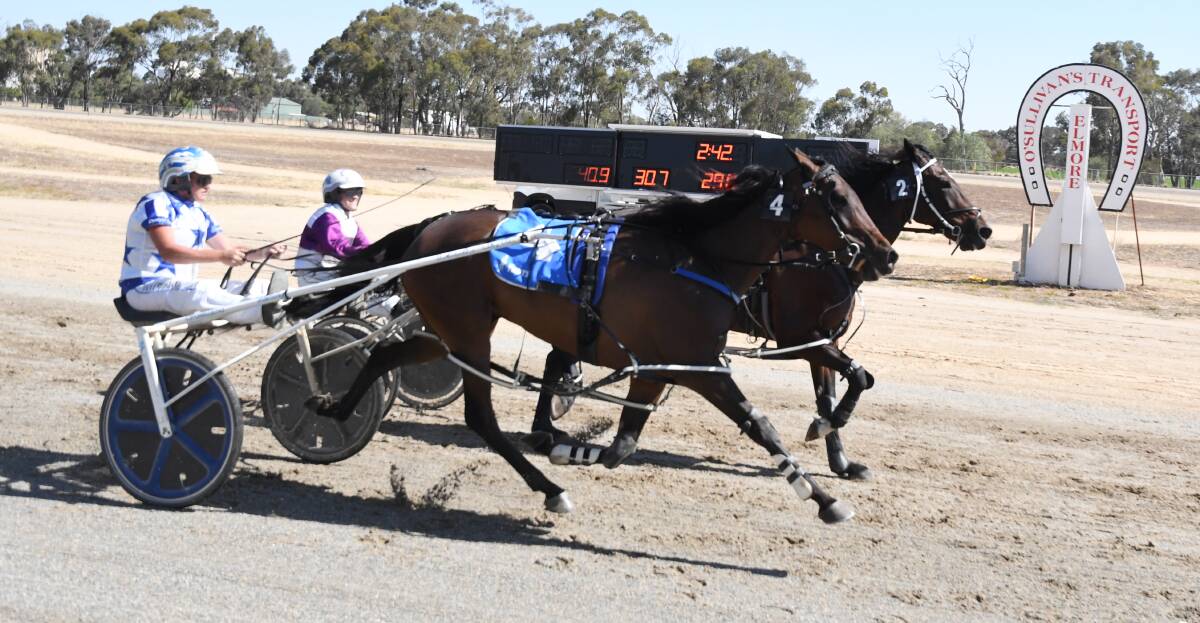 THRILLING FINISH: Shannon O'Sullivan and Fourstarzzzspecial outlast Laura Crossland and Celerina to win the $4500 Elmore Pacing Cup on Thursday. Picture: KIERAN ILES