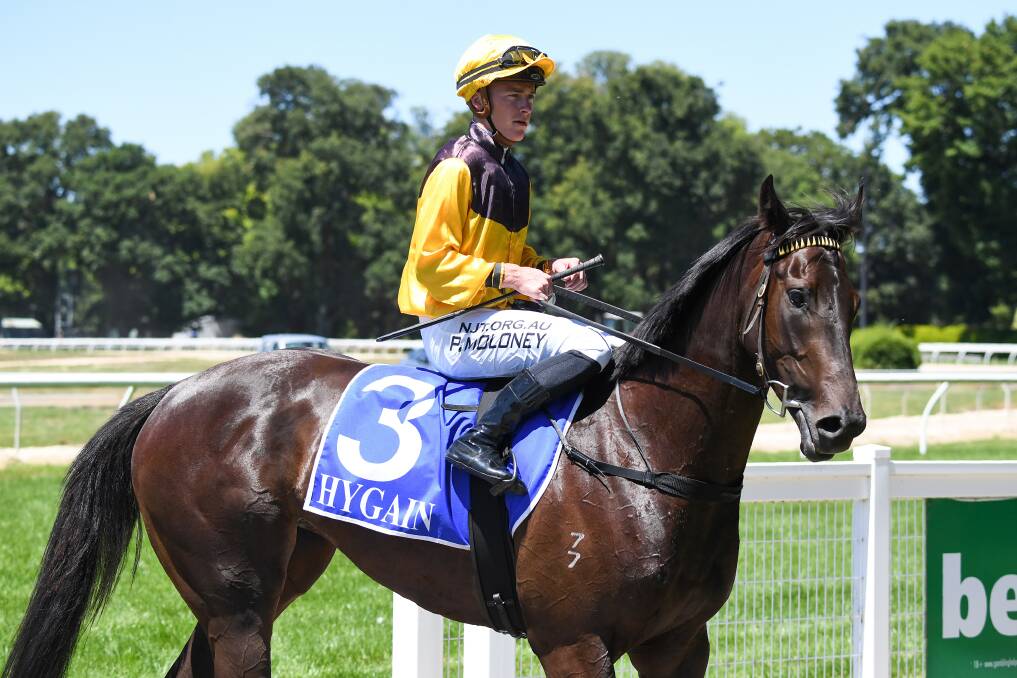 PROMISING: Kaniva, ridden by Patrick Moloney made an impressive city debut at on Friday. Picture: RACING PHOTOS