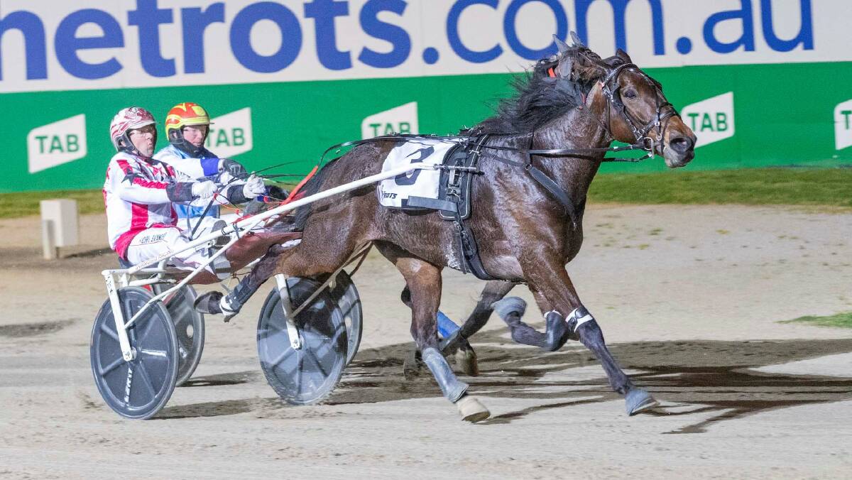 Magicool, pictured winning the Group 3 True Roman Trotters Free For All, has added a Yarra Valley Trotters Cup win. Picture: STUART McCORMICK