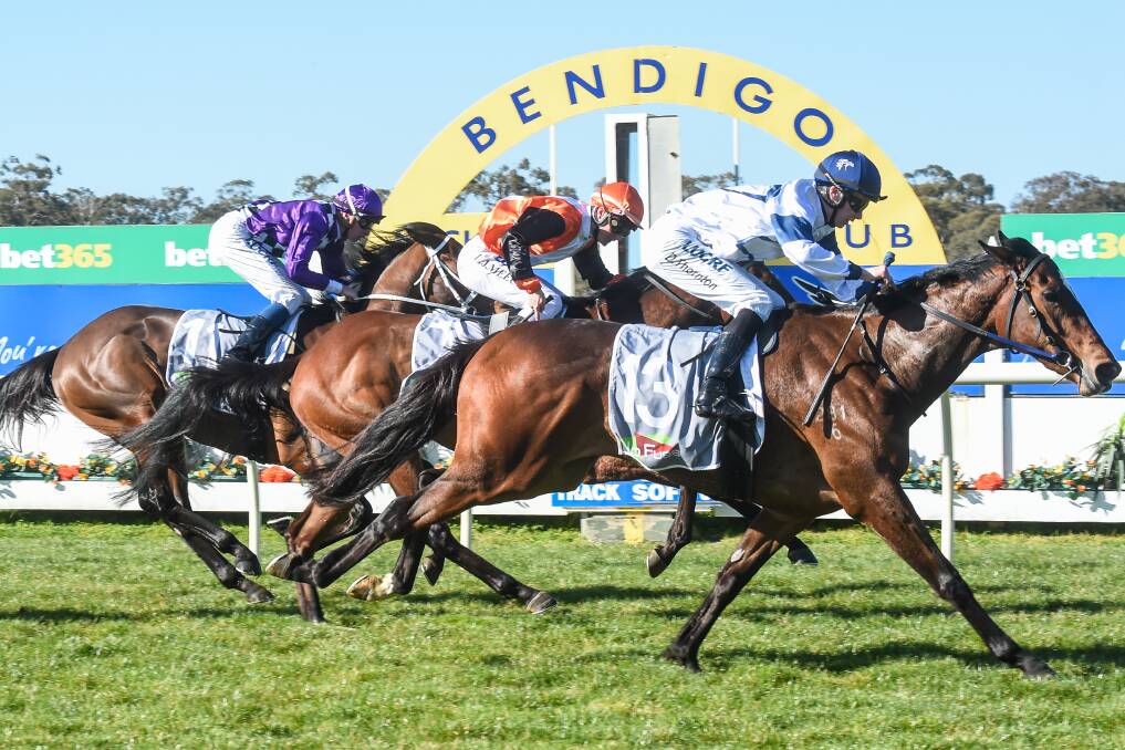 Miami Bound wins her maiden race at Bendigo on August 23, a few months before her VRC Oaks victory at Flemington. Picture: BRETT HOLBURT/RACING PHOTOS