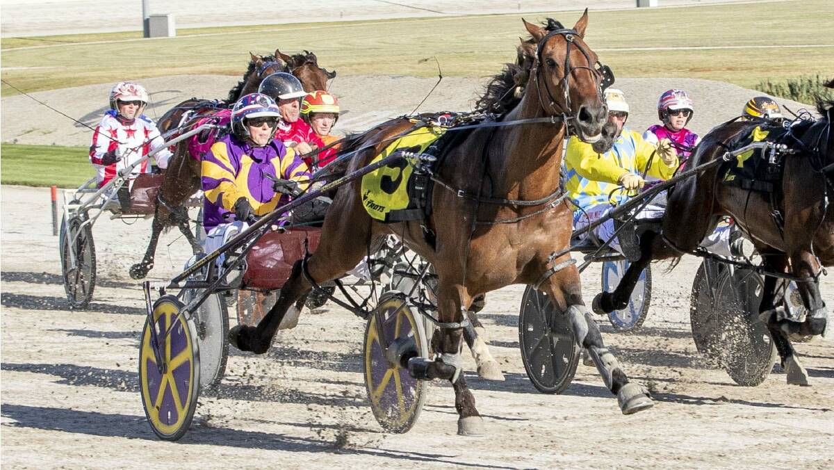 Zadaka, driven by Kerryn Manning, charges to victory at Tabcorp Park Melton last Saturday night. . Picture: STUART McCORMICK