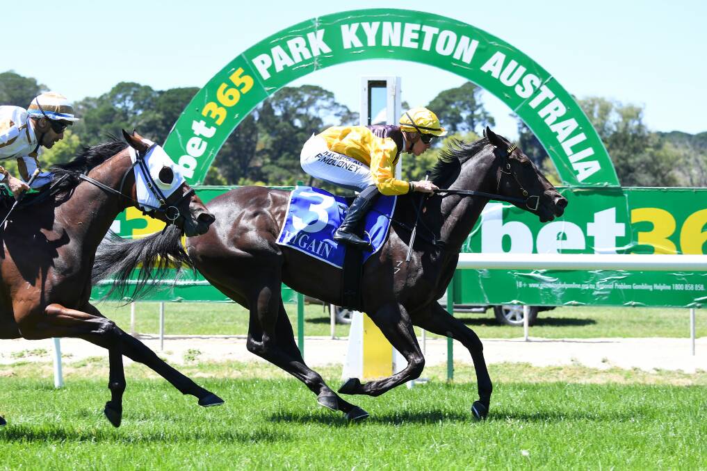 Kaniva, ridden by Patrick Moloney wins the Hygain 3YO Fillies Maiden Plate at Kyneton on Tuesday. Picture: PAT SCALA/RACING PHOTOS