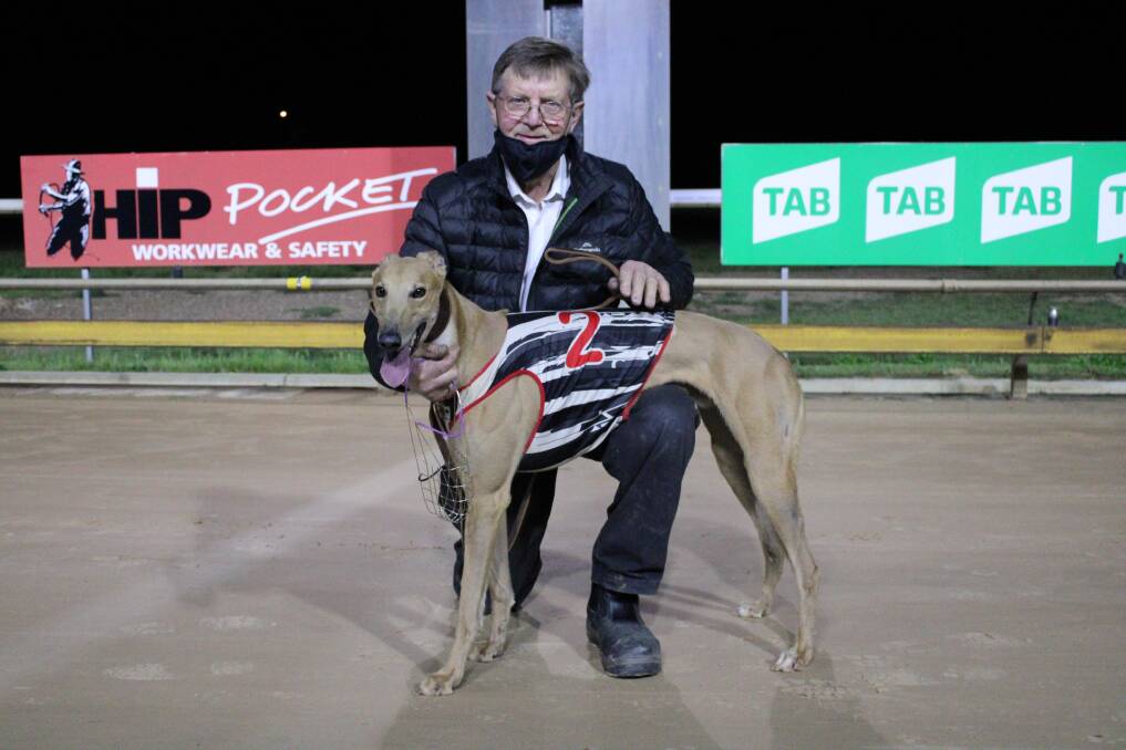 HOPEFUL: Junortoun trainer Barry Priest with McIvor Ernie, who will jump from his favourite Box 8 in Saturday night's final at Bendigo. Picture: KATE JACKSON