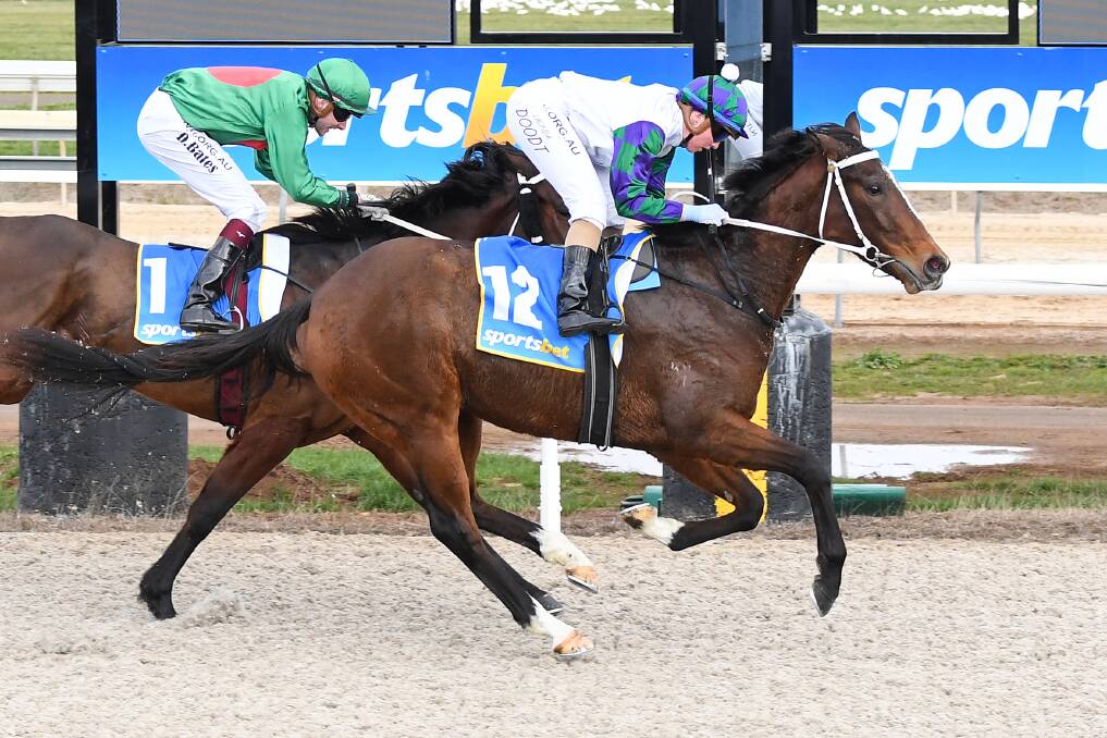 OOZING POTENTIAL: The George Osborne-trained Seeress, ridden by Lucinda Doodt, wins the Polytrack Maiden Plate at Ballarat Synthetic Racecourse on July 16. Pictures: RACING PHOTOS