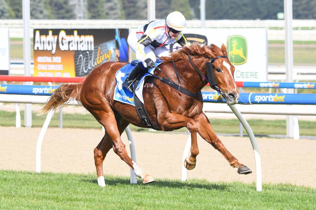 Oak Bridge, ridden by Christine Puls, breaks through for his maiden win at Ballarat on Wednesday. Picture: RACING PHOTOS