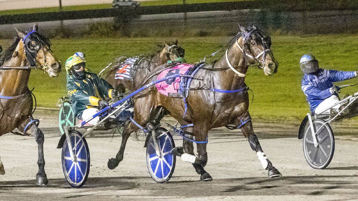 Rocknroll Eyes, driven by Darby McGuigan, notches up career win number 18 at Terang on Saturday night. Picture: STUART McCORMICK