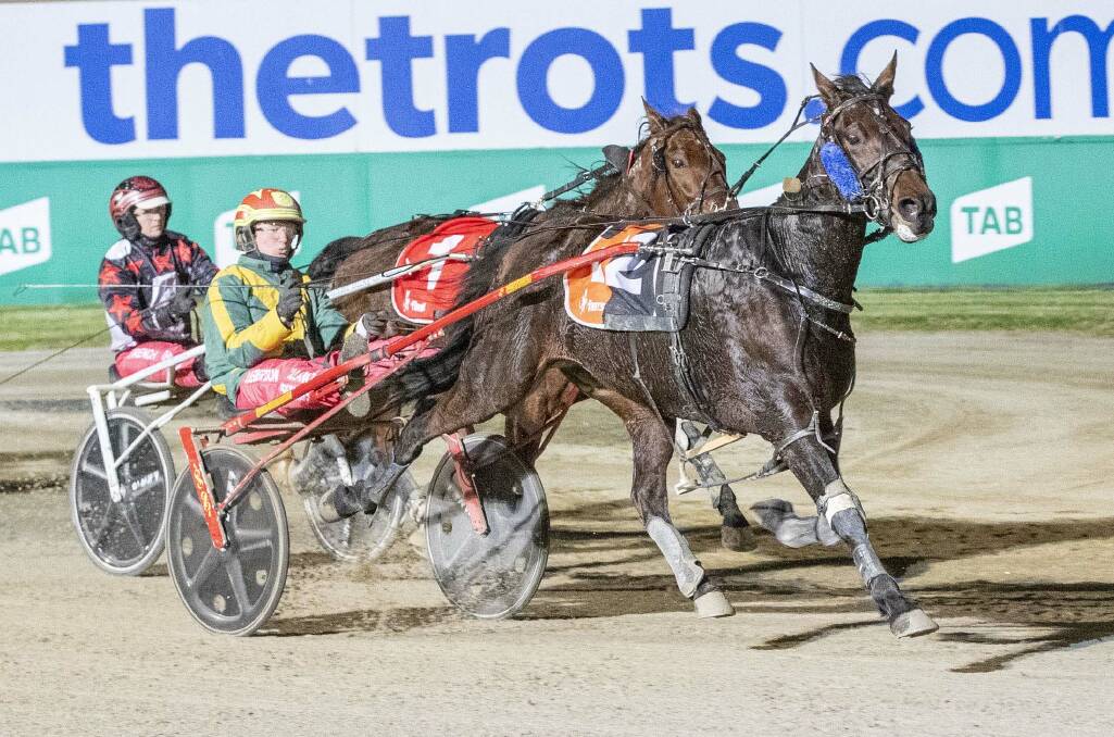 WELL-DESERVED: Nephew Of Sonoko, driven by James Herbertson, edges past Anywhere Hugo (Tayla French) to win the Group 2 Aldebaran Park Vicbred Platinum Metropolitan Trot Final on Saturday night. Picture: STUART McCORMICK