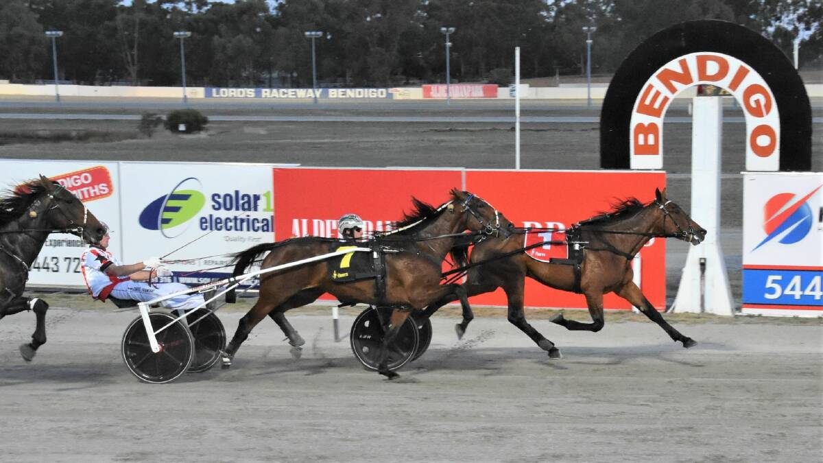 Utopia, driven by Greg Sugars, outlasts Watts Up Majestic (Chris Svanosio) to win the Group 3 Gavin Lang Aldebaran Park Trotting Mile at Lord's Raceway on Friday night. Picture: CLAIRE WESTON PHOTOGRAPHY