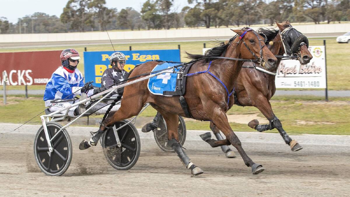 ON THE RISE: Parisian Artiste, driven by Tayla French, charges to an impressive win in his Breeders Crown heat at Maryborough on Thursday.