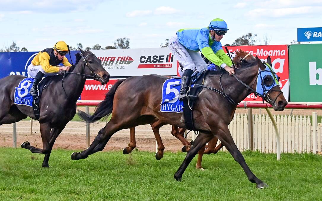 El Salto, ridden by Patrick Moloney, goes back-to-back at Echuca earlier this month and will chase a third straight win on Bendigo Cup day. Picture: BRENDAN McCARTHY/RACING PHOTOS