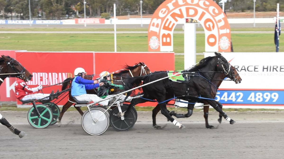 Our Doreen Days was among a bunch of Bendigo region-trained horses to win at Lord's Raceway on either Sunday or Tuesday. File picture: CLAIRE WESTON PHOTOGRAPHY