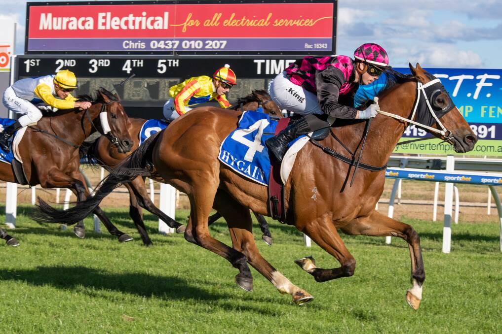Elmore Lad, ridden by Lachlan King, charges to victory at Wangaratta on December 11. Picture: JAY TOWN/RACING PHOTOS