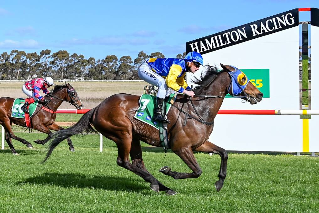 Cooter Cha Cha, ridden by John Robertson, wins the benchmark 58 handicap at Hamilton on Monday. Picture: ALICE MILES/RACING PHOTOS