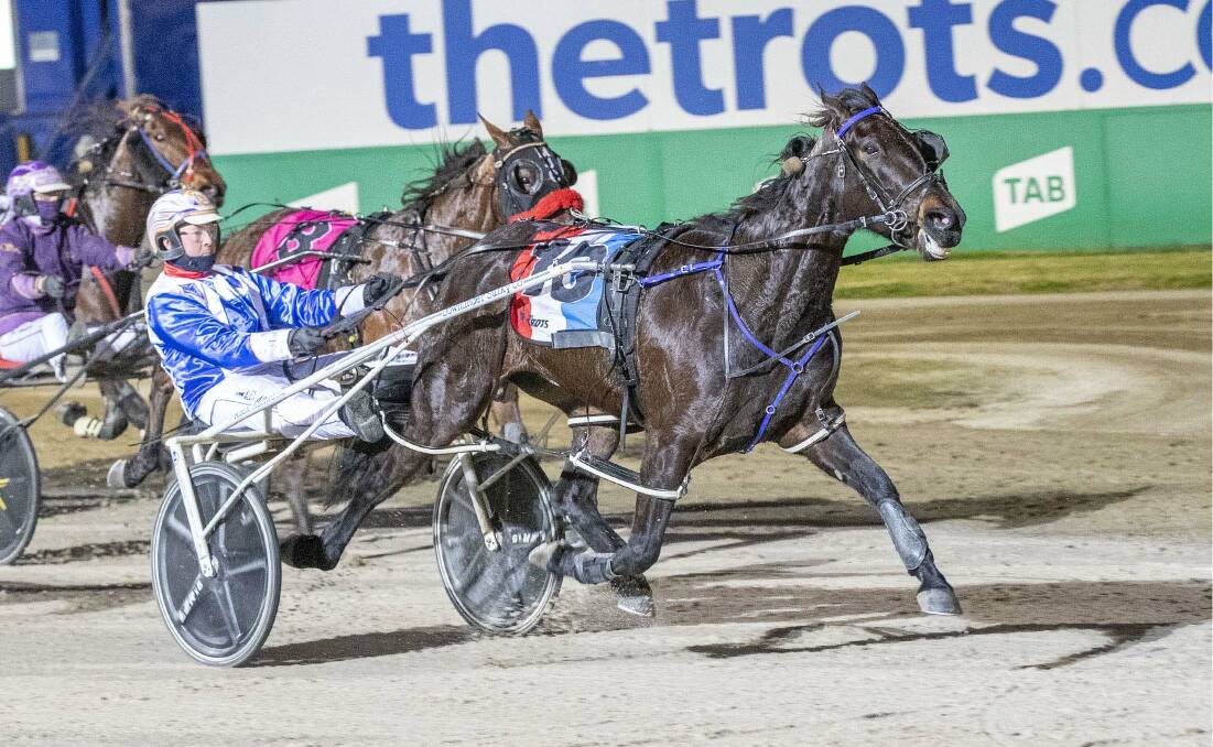 Still Hungover, trained and driven by Alex Ashwood, scores an impressive win at Tabcorp Park Melton on June 26 this year. File picture: STUART McCORMICK