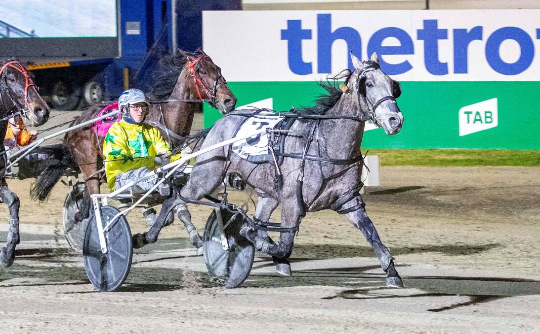 THREE IN A ROW: Alex Ashwood steers the Tim Mannix-trained All Whitey Then to victory at Tabcorp Park Melton last Saturday night. Picture: STUART McCORMICK