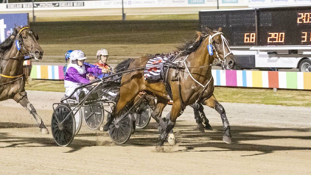 Shannon O'Sullivan steers Neangar Guy to a win in the final race on Ballarat Pacing Cup night. Picture: STUART McCORMICK