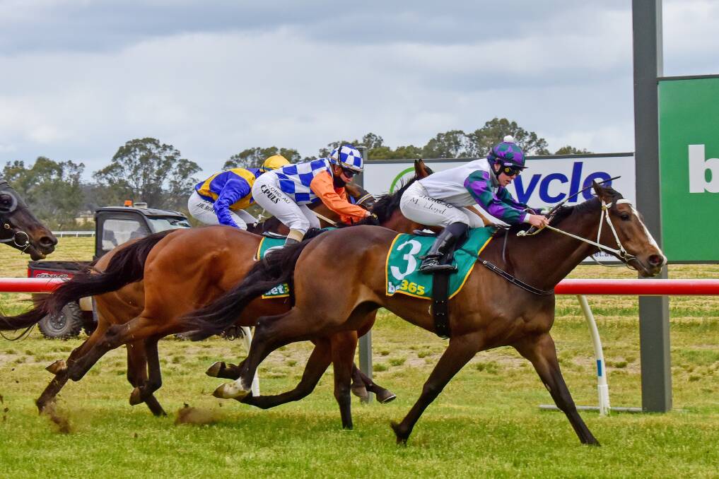Uptown Lola continues the momentum for Kyneton trainer George Osborne with a win at Echuca on Monday. Picture: RACING PHOTOS