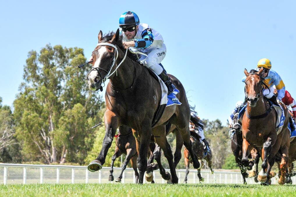 Bill The Bee, ridden by Jack Martin scores an impressive 1400m benchmark 58 win at Wangaratta on Sunday. Picture: RACING PHOTOS