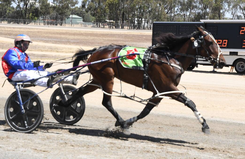Ryan Duffy steers the Keith Cotchin-trained newcomer Juniper to a win in the second heat of the Vic Hotel Elmore Pace (2180m) on Thursday. Picture: KIERAN ILES