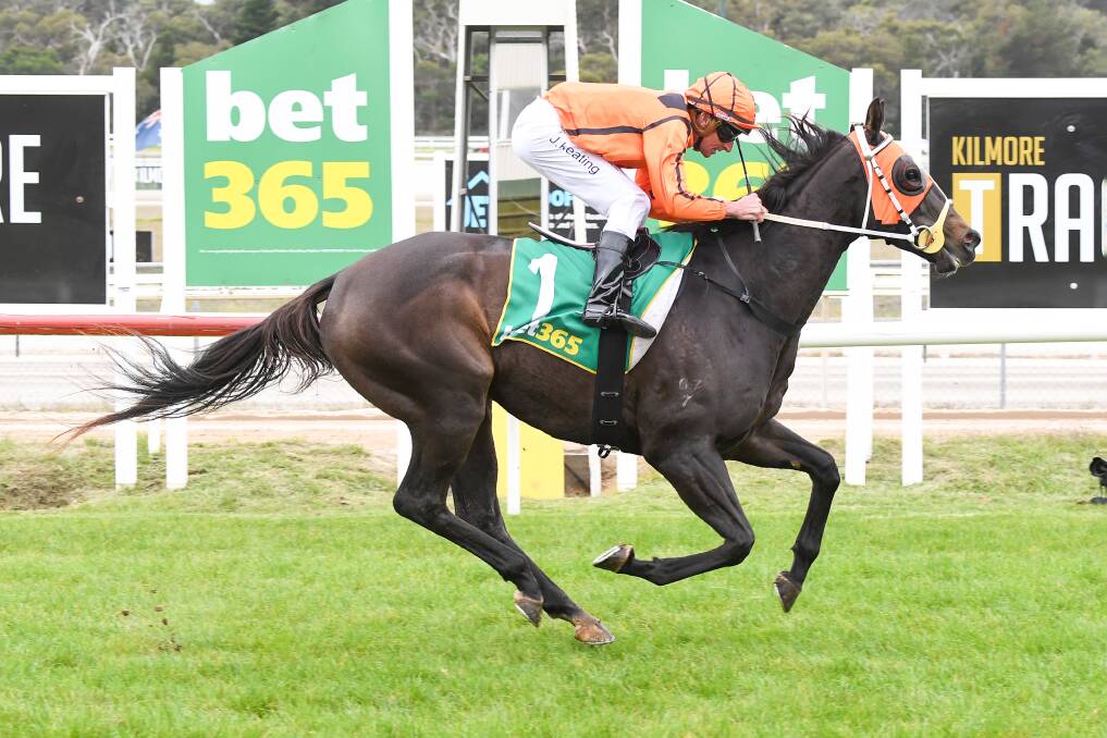 Steady Jam, ridden by John Keating, scores his maiden win at Kilmore on Thursday. Picture: PAT SCALA/RACING PHOTOS
