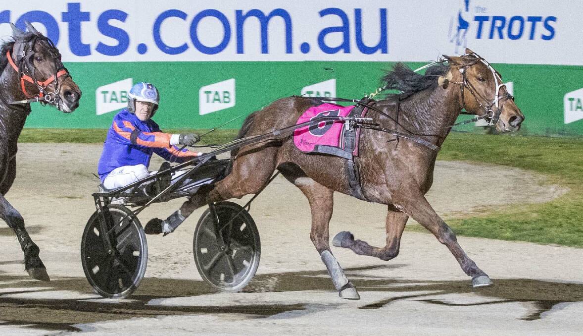 Gavin Lang wins aboard Pantzup at Tabcorp Park Melton in September last year. Picture: STUART McCORMICK