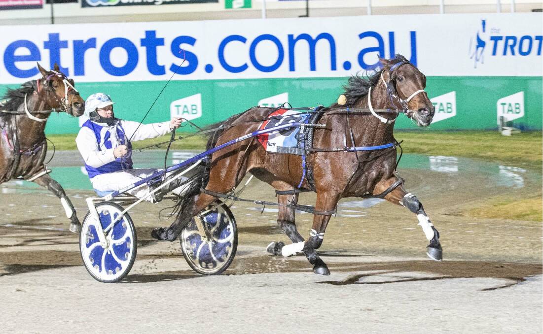 The Julie Douglas Pray Tell, pictured winning at Melton last year, returned to the winner's list at Shepparton on Tuesday night. File picture: STUART McCORMICK