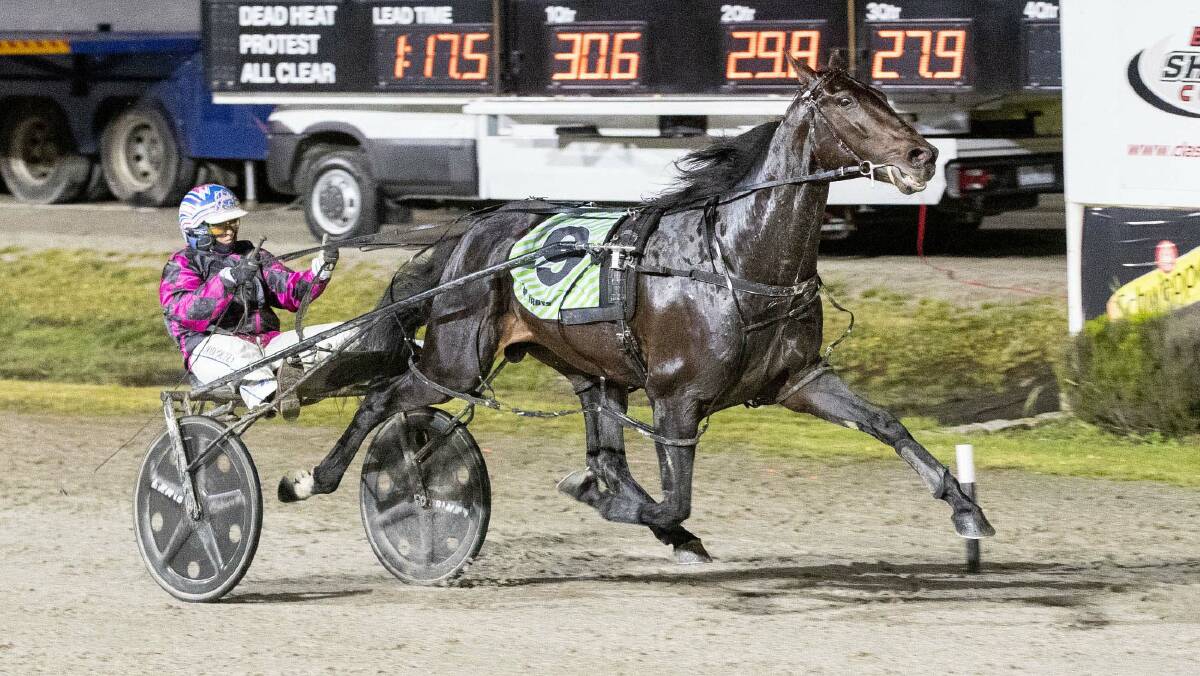 Act Now, driven by Jodi Quinlan, wins the third heat of the Victoria Derby at Lord's Raceway on Saturday night. Picture: STUART MCCORMICK