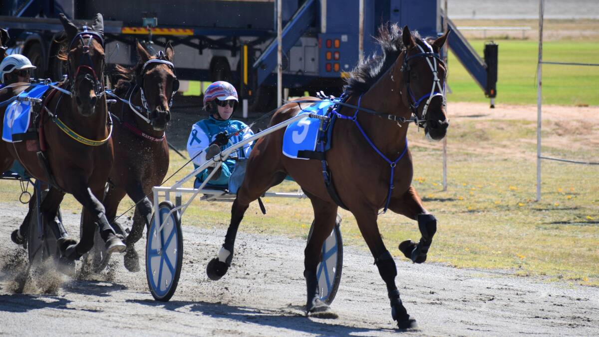 McLovin, driven by Kate Gath, is victory bound in the 2021 Group 3 Charlton Trotters Cup, run on Sunday, arch 14. Picture: KIERAN ILES