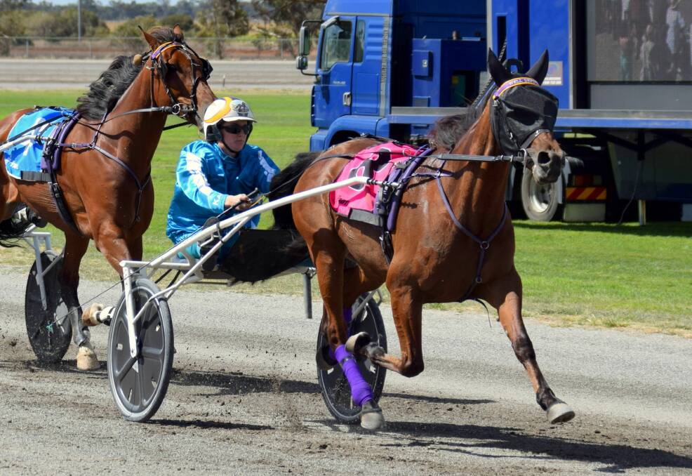 FAMILAR SIGHT IN 2021: Star trotter Well Defined and Ellen Tormey surge to another country cup win, this time at Boort.